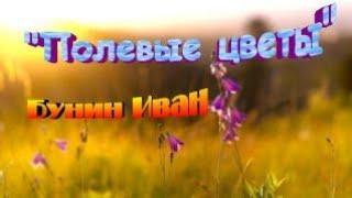 Стихотворение "Полевые цветы" Бунин Иван. Аудиостихи