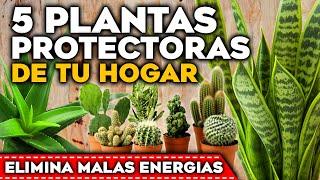 ¡PROTEGE tu HOGAR! Las 5 PLANTAS PROTECTORAS del HOGAR y ELIMINAR MALAS ENERGÍAS según el FENG SHUI