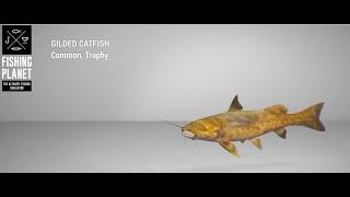 Fishing Planet - Maku-Maku Lake - Trophy - Gilded Catfish (Crawfish Jig Bait)