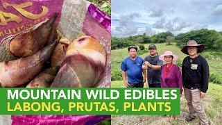 Discovering the Hidden Treasures of Mountain Wild Edibles: Bamboo Shoot, Fruits, Plants with Value