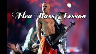 Flea Bass Lesson Full - Plays Flea Bass