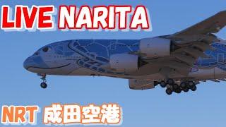 LIVE at NARITA International Airport Plane Spotting　2024.10.22成田空港ライブカメラ 成田空港　NRT/RJAA