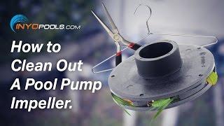 How To: Clean Out A Pool Pump Impeller