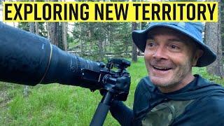 I Found 3 Subjects To Photograph In Some New Territory - Wildlife Photography Vlog in The Tetons