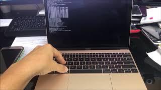 How to Restore Reset a Macbook A1534 to Factory Settings ║Bypass Password