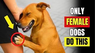 Female Dogs Have a Secret Bond With Owners – Here’s What Makes Them So Unique