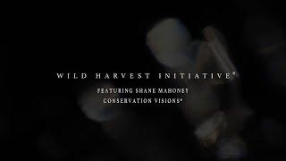 The Wild Harvest Initiative