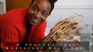 Harvesting + Preserving Medicine From My Backyard | Urban Self-Sufficiency