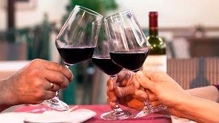 A wine lover's guide to malbec | The world of wine