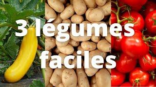 3 Légumes Faciles pour débuter son potager !