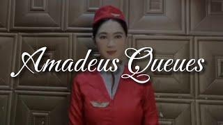 Amadeus Queues | TM3A