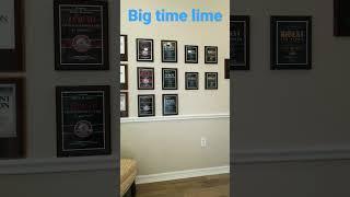 the years of law office of david nguyen