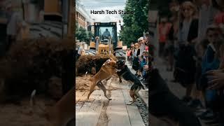 Two dogs are deadly fight #trending #wildlifeentertainment #wildanimals #animallife #animals
