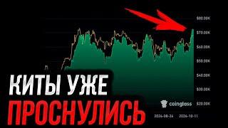 ️БИТКОИН - Киты взялись за дело! | Прогноз | Сегодня | Трейдинг