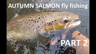 AUTUMN SALMON PART2. ART MERK FLY FISHING ADVENTURES