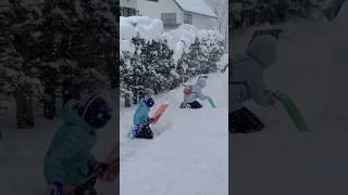 雪乡的孩子#铲雪