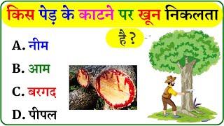 GK Question || GK In Hindi || GK Question and Answer || GK Quiz ||