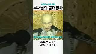 부처님의 총대명사 나무아미타불 청화스님