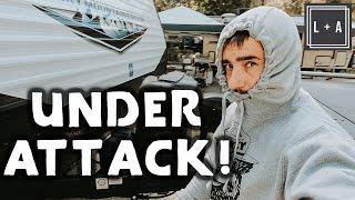 SWARMED While RV Traveling in BRITISH COLUMBIA! Back to Canada RV Vlogs