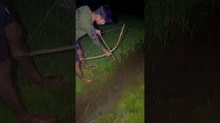 khet se naye tarika se pakerliya macchli(259) hindi village fishing trap #fishingtechniques