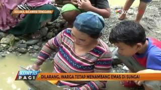 Meski Dilarang, Warga Tetap Menambang Emas