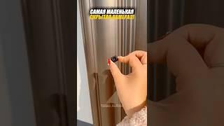 Самые маленькие скрытые камеры