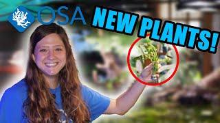 Unboxing NEW PLANTS at OSA Coventry!