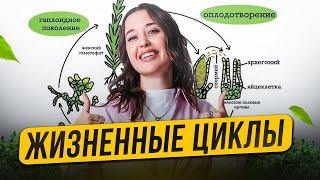 ЖИЗНЕННЫЙ ЦИКЛ растений ЛЕГКО! / Как запомнить его к ОГЭ по биологии?