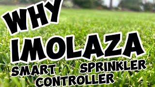 Three Reasons You Should Choose ImoLaza