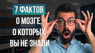 7 фактов о мозге, о которых вы не знали