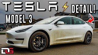 Cleaning a DIRTY Tesla Model 3! | Self-Driving Car Detail! | The Detail Geek