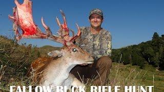 FALLOW BUCK HUNT