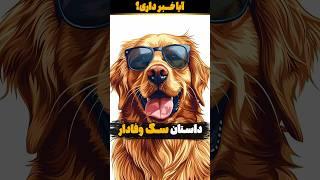 داستان سگ وفادار  آیا خبر داری؟