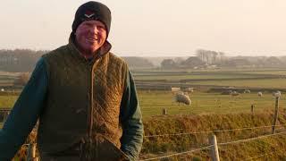 De lammerij op Texel - Aflevering 4 - De Hoge Berg