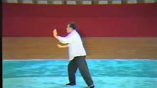 Yang Zhen Ji Taijiquan