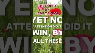 #JaneTaylorThePoppy #MustangSally #everythingisenergy