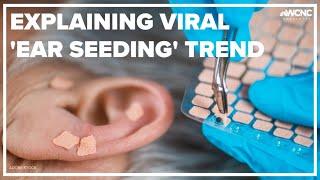 Explaining the viral trend 'ear seeding'