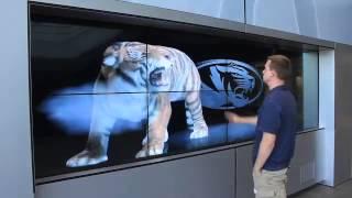 Dimensional Innovations MU Interactive Tiger Wall Video Wall Touchscreen