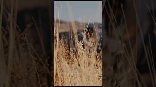  Художник в горах ️ Поймал закат#Горы #Природа #Искусство #Творчество #MountainArt #SunsetVibes