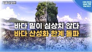 바다 밑이 심상치 않다...바다 산성화 '한계' 돌파