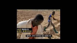 아프리카, 새마을 지원이 끝나도, 잘 돌아가는 이유는?  #새마을_세네갈