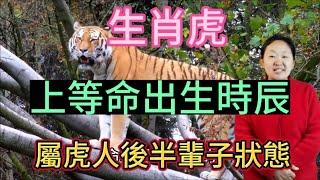 【生肖虎】生辰八字！什麼時辰出生貴為上等命！生肖屬虎人運勢財運以及個人情感是什麼樣子！屬虎人後半輩子是什麼狀態？這期視頻講述屬虎人！#愛華