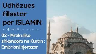 Mrekullite shkencore ne Kuran - Origjina e universit | Kurani dhe embrioni