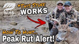 How To Hunt The Peak Rut Weather Forecast