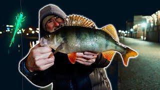 Perch: THIS is how it works, even at night! (Technique, Bait & Color)