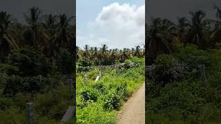 9 Gunte Empty Farmland Sale in Harohalli City , Charan 7338474634