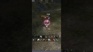 L2 Reborn x30 - pvp for spot #lineage2