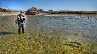 This Brown Trout River Might Be the Best I’ve Ever Fished!