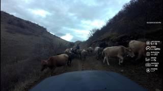 TOYOTA TUNDA In the lisi mountains