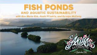 Fishponds and Aquatic Sustainability | Aloha Authentic Ep 110